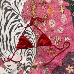 Velvet bikini top